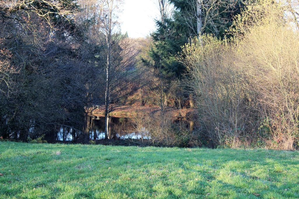 La Petite Jeusseliniere Villa Larchamp Exterior foto